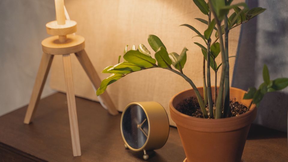 créer un style japandi dans un petit espace 3